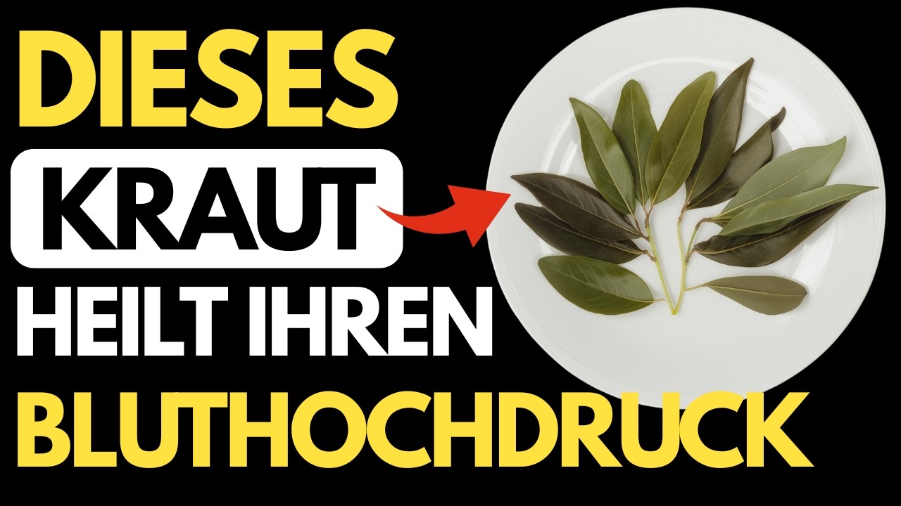 Diese 6 Kräuter senken wirklich den Blutdruck – wissenschaftlich bestätigt