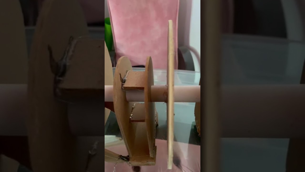 WhatsApp Video 2026 01 19 at 2 46 02 PM