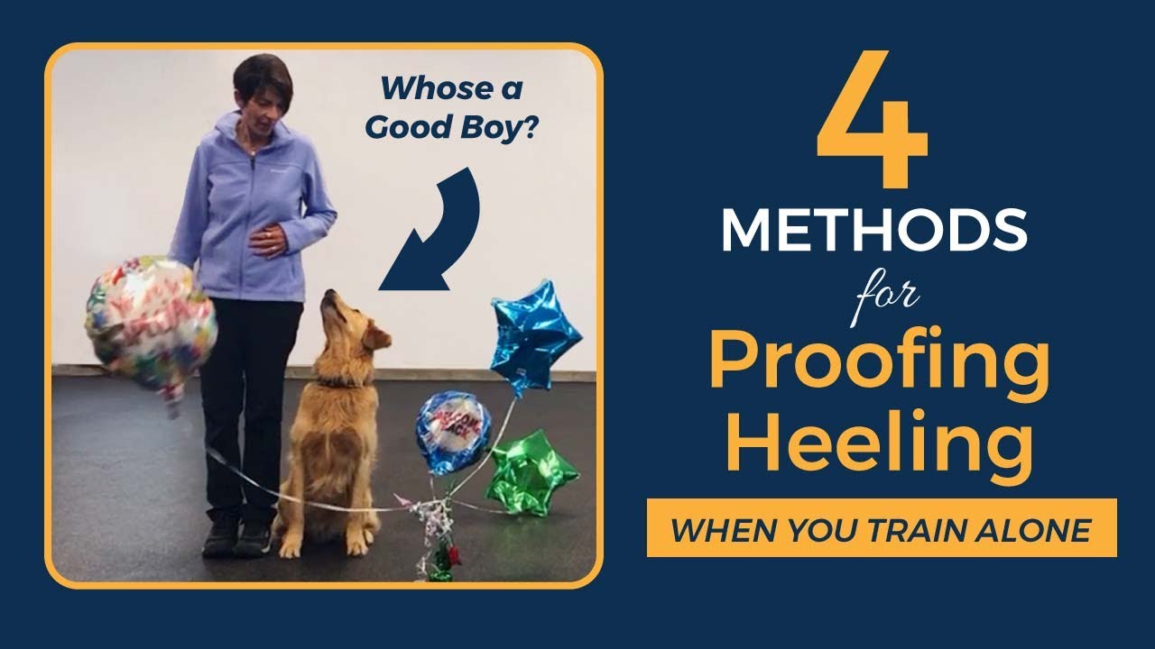 4 Methods for Proofing Heeling with Janice Gunn