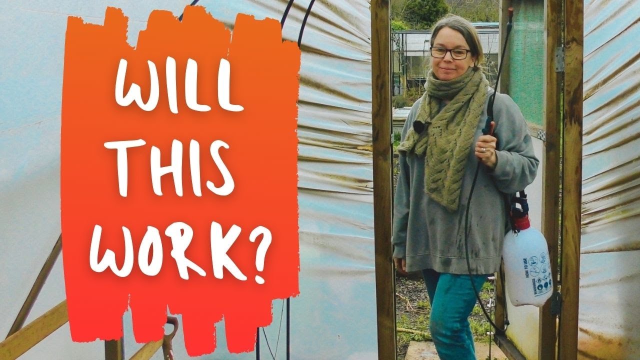 POLYTUNNEL CLEAN UP: WILL THE SPRAYER ACTUALLY WORK?