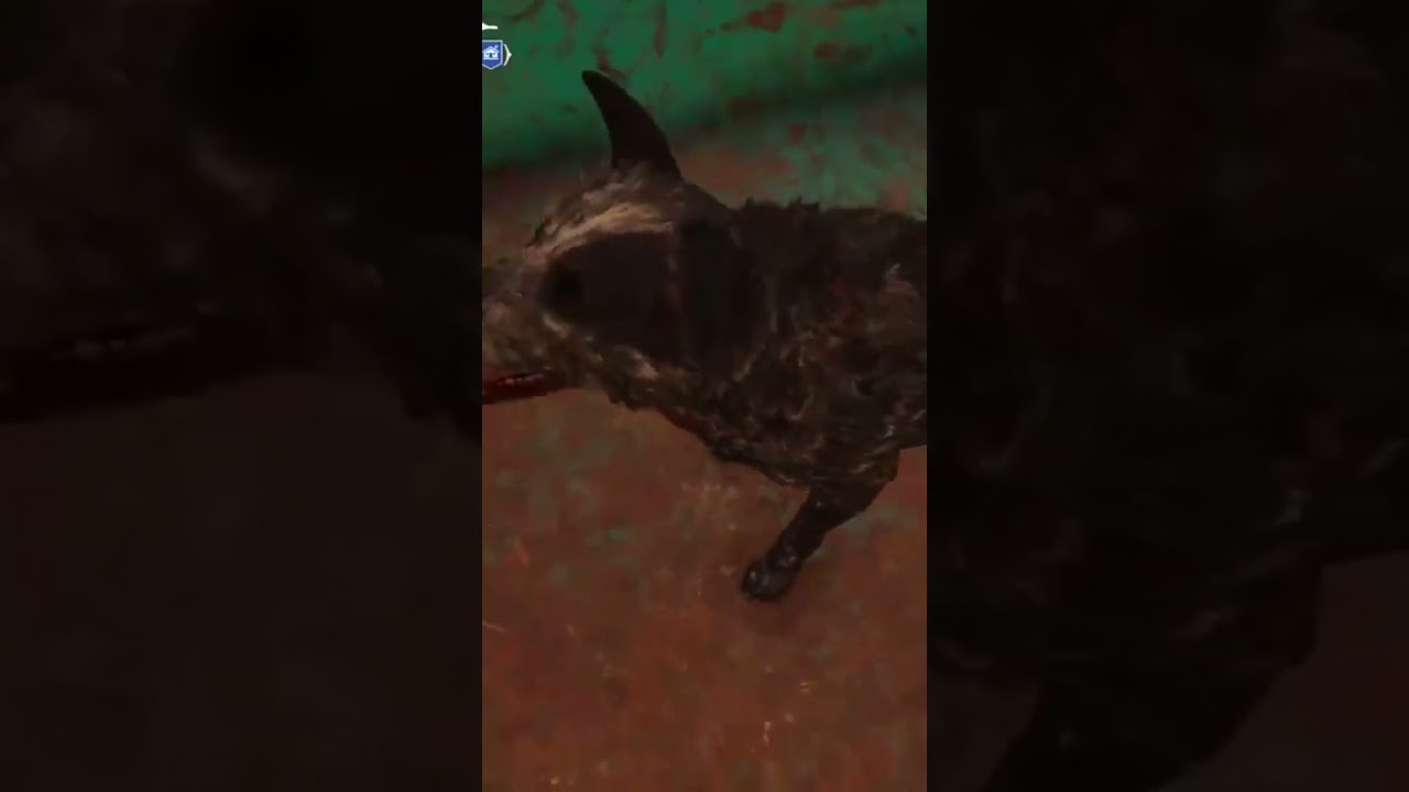 Boomer de FC5 en Far cry 6!!
