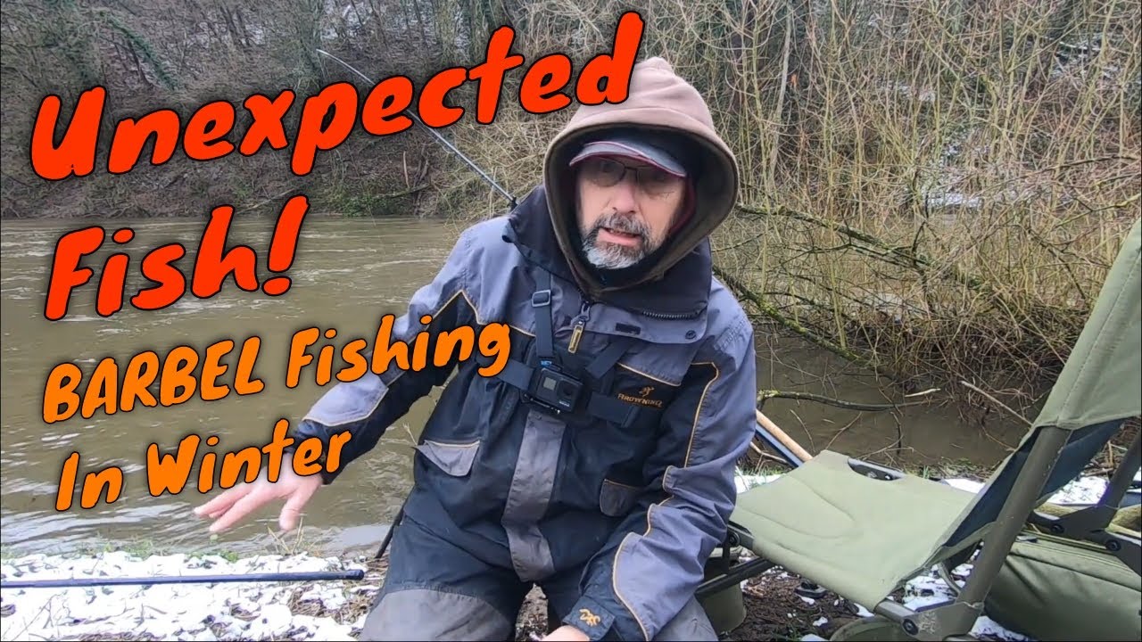 Pêche du BARBEAU en hiver | un poisson inattendu ! | Pêche au feeder sur l'Ourthe | Ep. 17