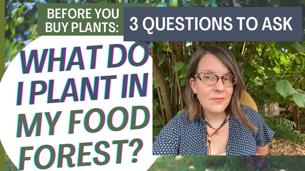 What Should I Plant in My Food Forest? 3 Questions to Guide Plant Selection