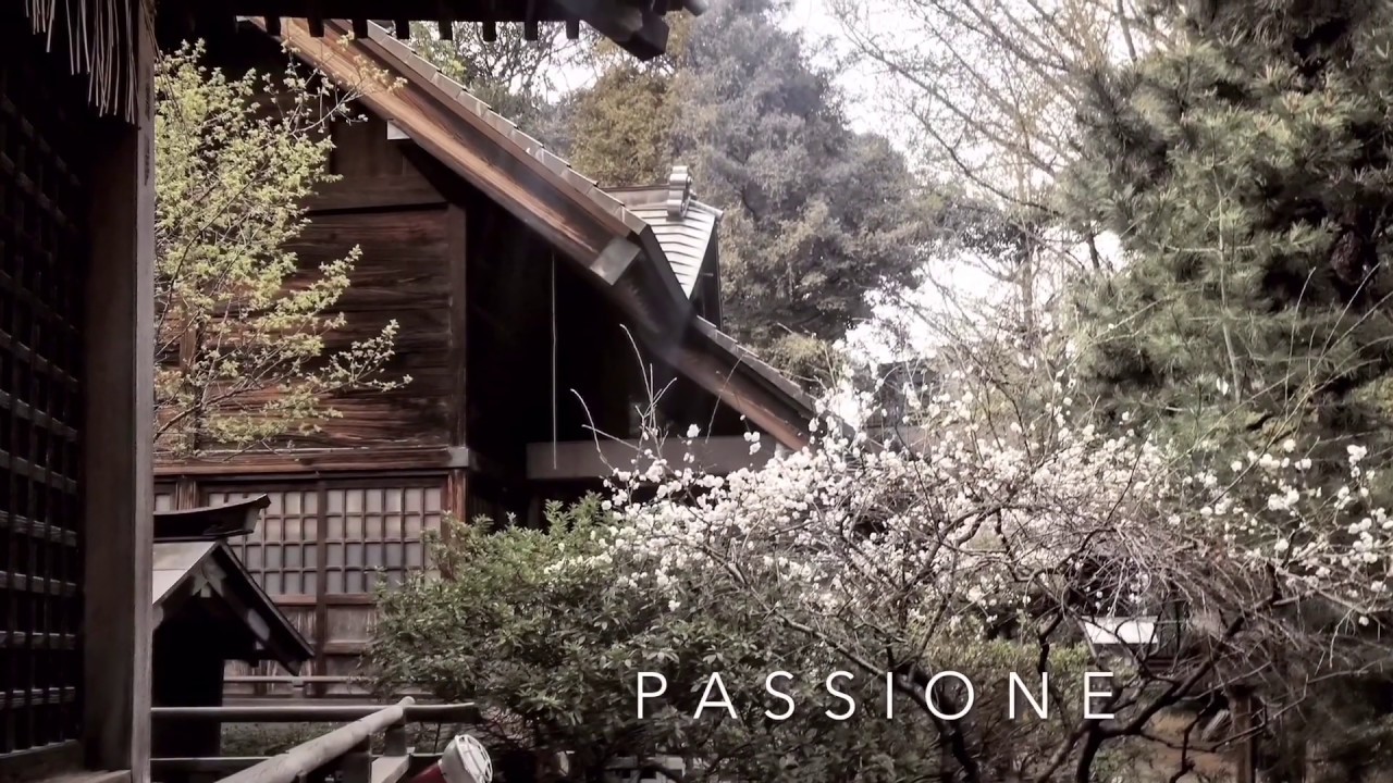 PASSIONE / Junko Kato 加藤ジュンコ