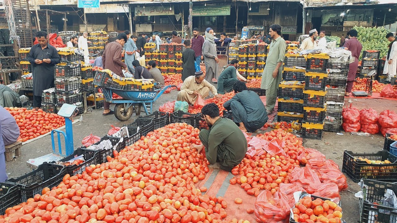 Swat And Afghanistan Tomatoes | Onion and Potatoes update | Ginger and garlic china and Thai |