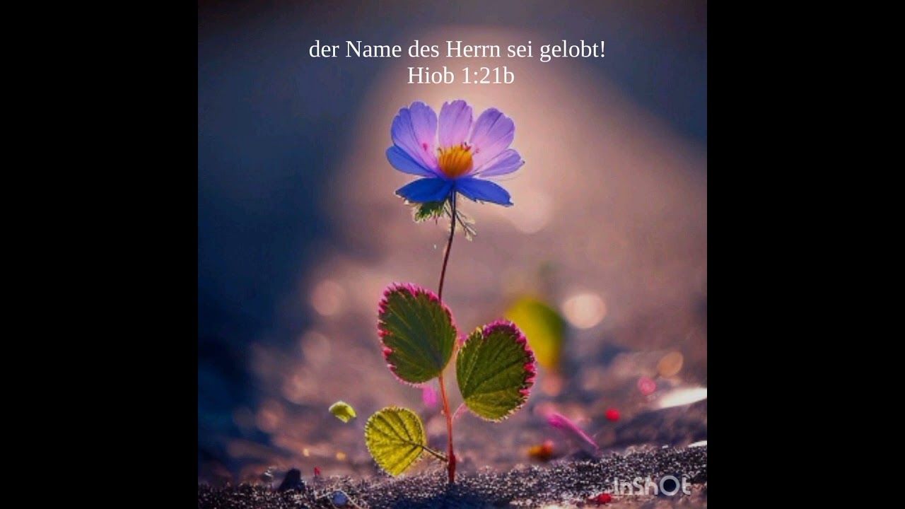 Mein Heiland, wie sollt' ich schweigen hier