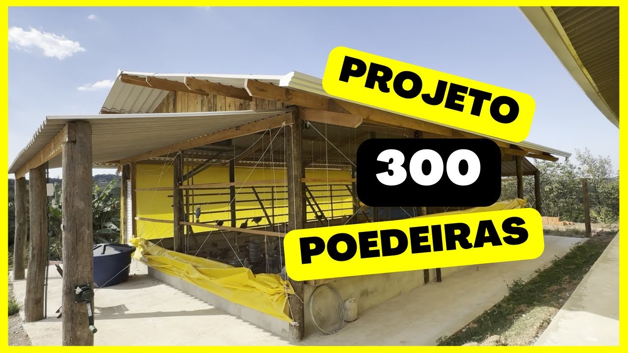 PROJETO 300 POEDEIRAS: produção de OVOS CAIPIRAS