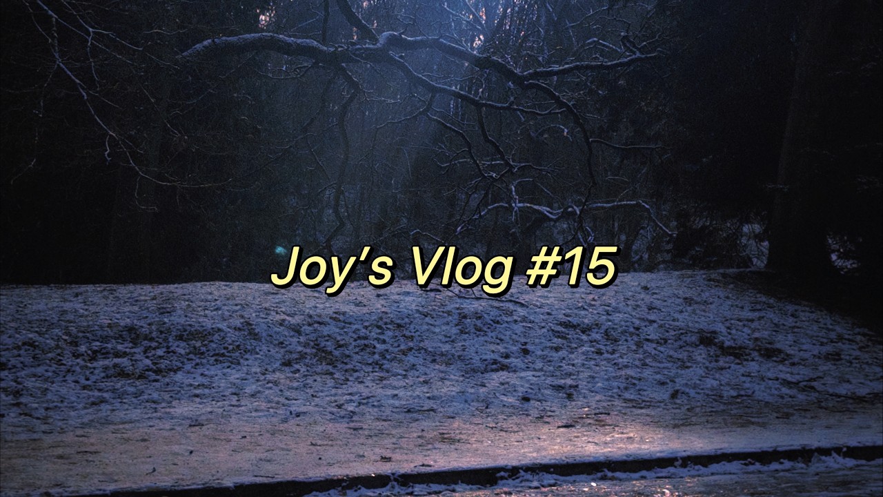 Joy's Vlog #15｜包菜丝饼｜韩餐｜咖啡厅｜一些外食日常～