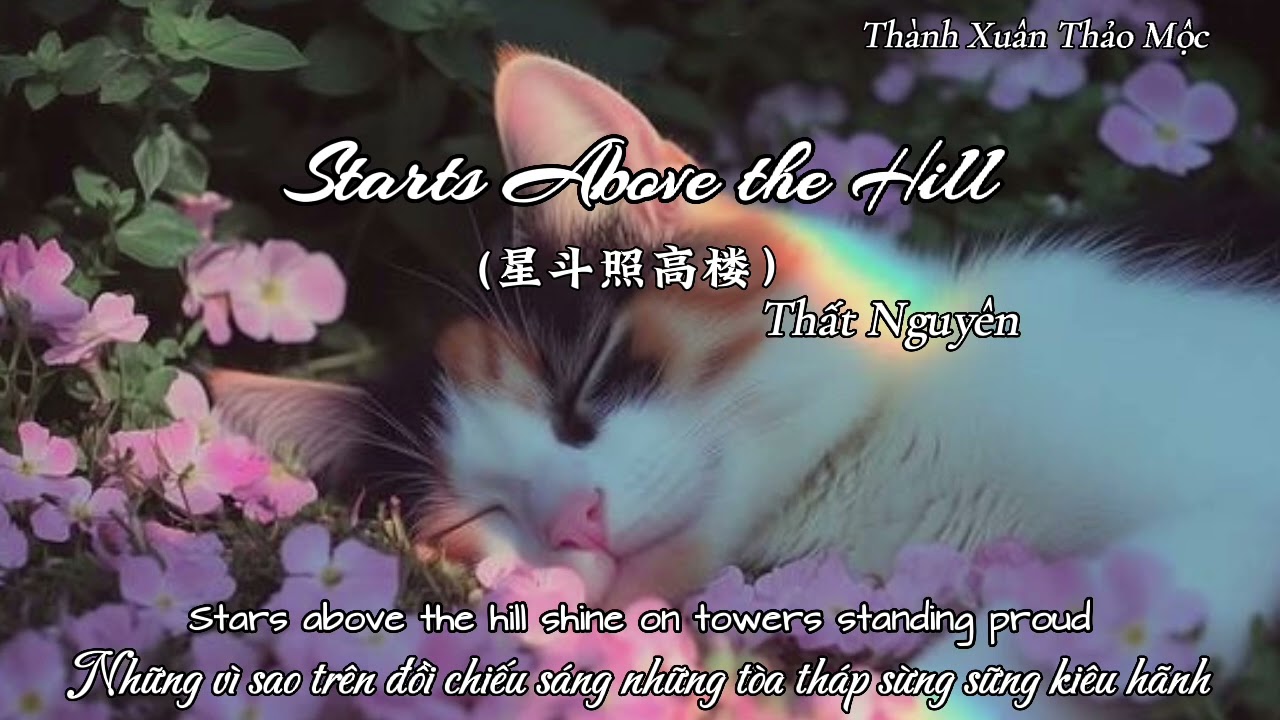 (Vietsub) Stars Above the Hill (星斗照高楼) - 七元