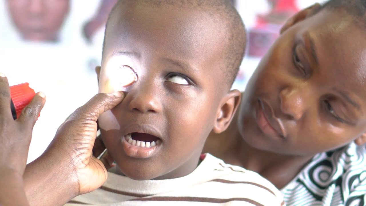 The Global Child Eye Health Project: the Next Steps
