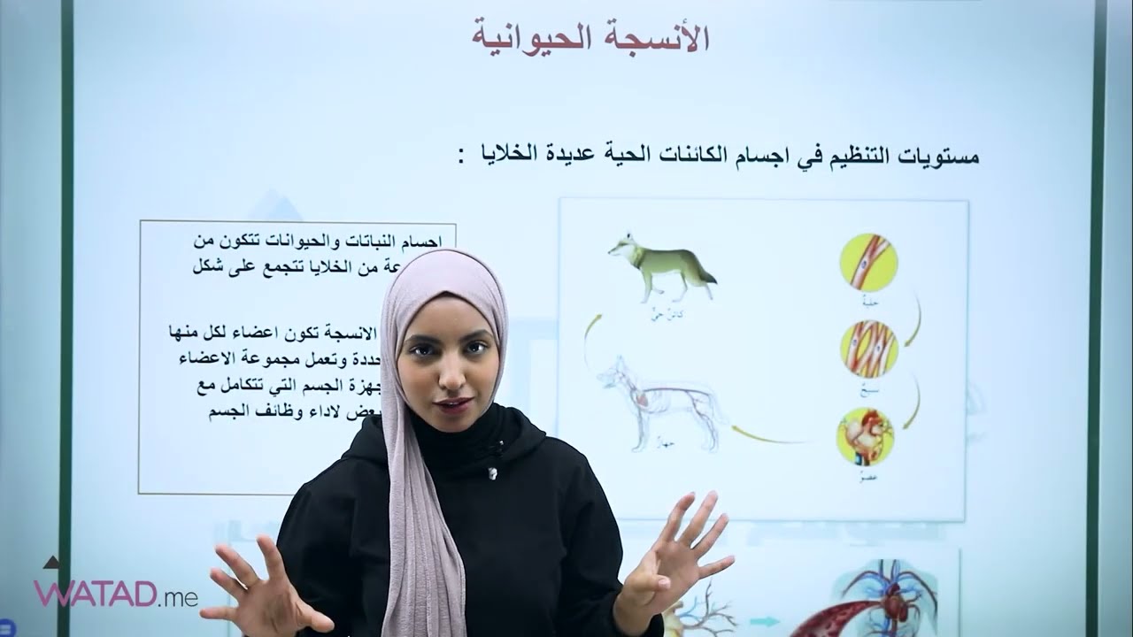 الصف التاسع - احياء - الأنسجة الحيوانية | موقع وتد التعليمي / وداد العوضي