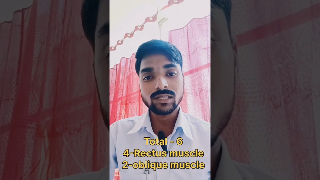 Extra Ocular Muscle of eyes 👀#eyescience #education #shortvideo #optometry #shortvideo #ophthalmo.