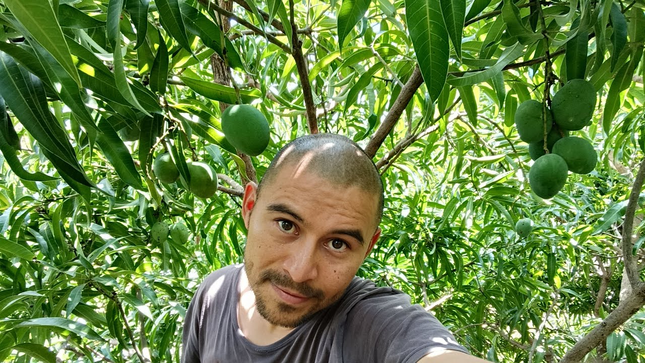 Finalmente Logré esto en EL SALVADOR!!!🇸🇻