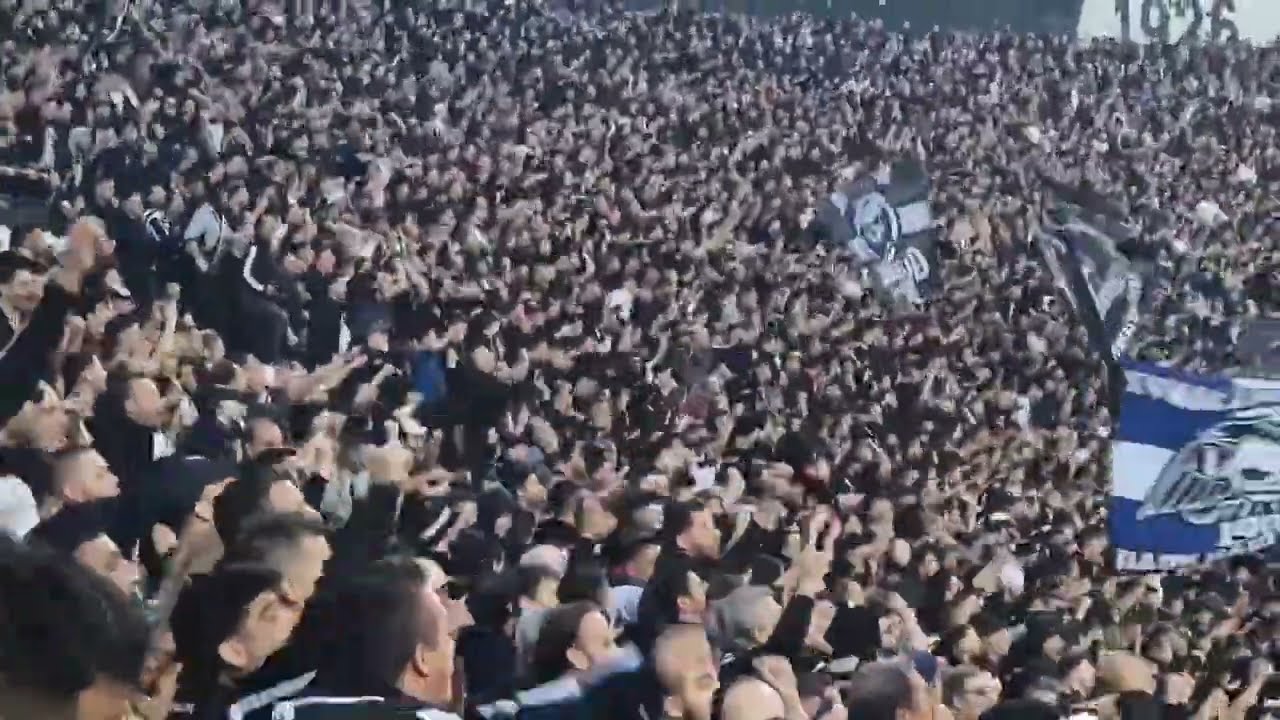 The moment when PAOK fans knew they are the new Champions of Greece 2024. What a magical moment! 🦅 ⚽