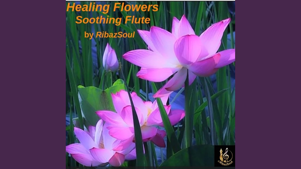 Healing Flowers | Soothing Flute