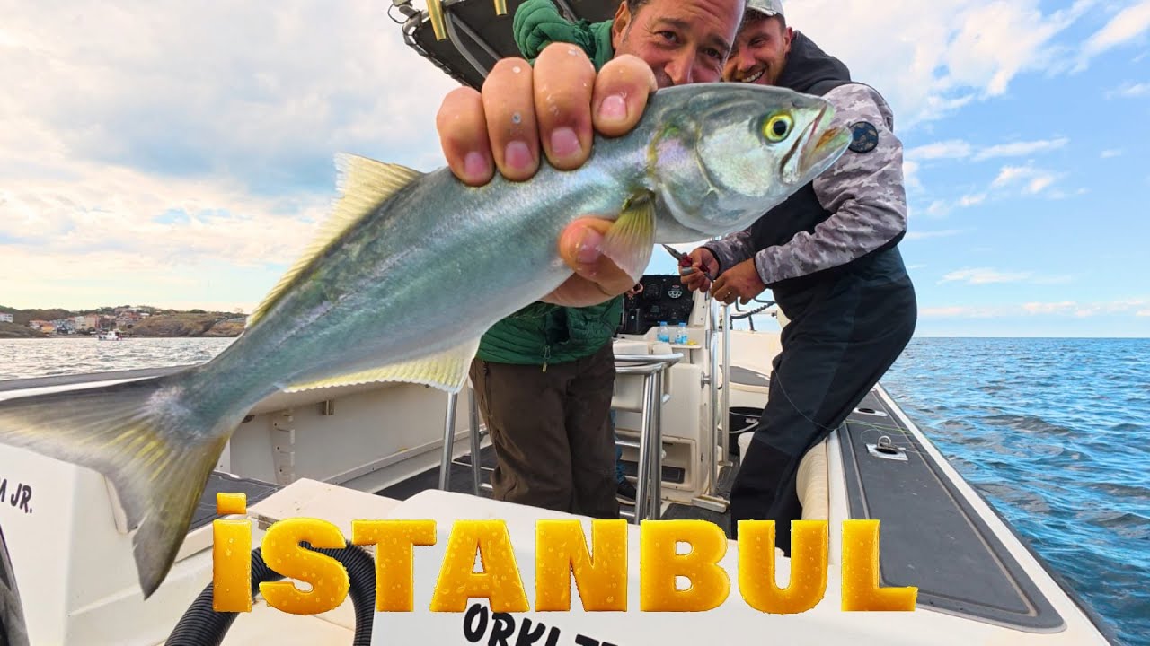 🎣 Zarganayla Lüfer Avı! Boğazda Büyük Balık Şovu 🔥