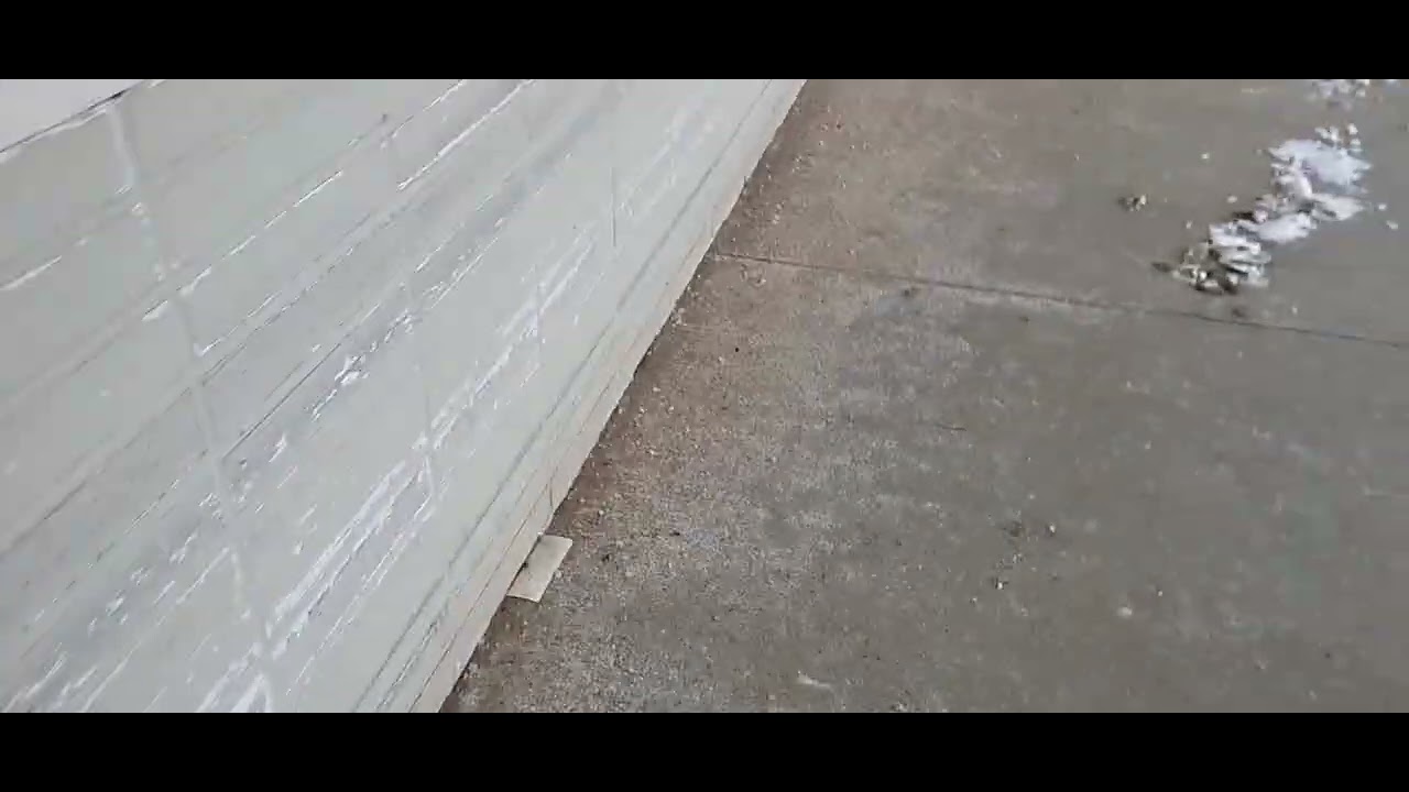 Abandoned save a lot