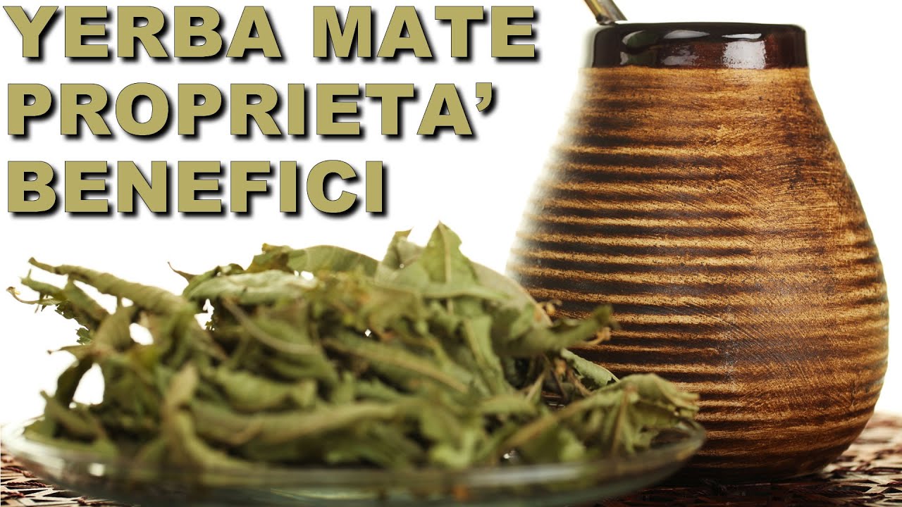Yerba Mate - Proprietà e Benefici