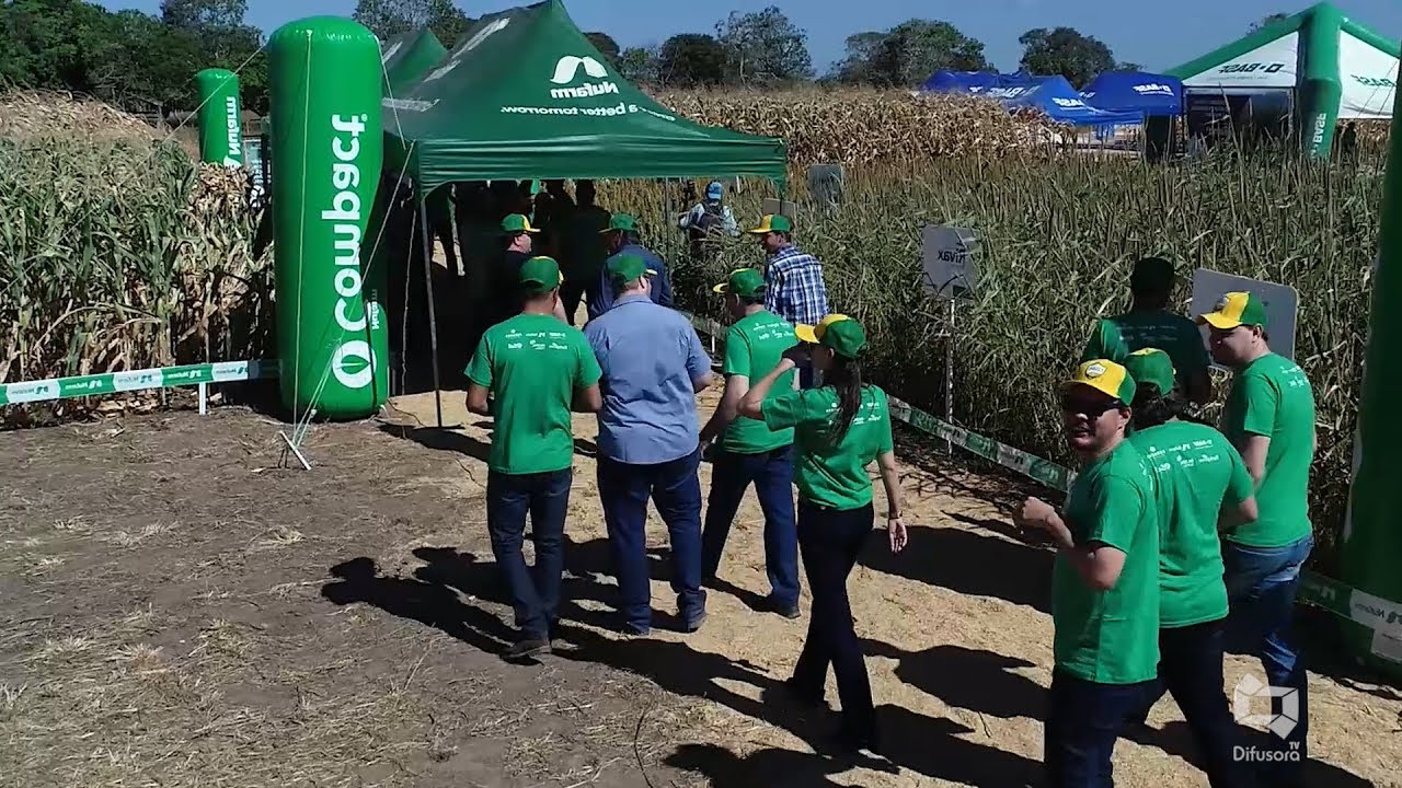Dia de Campo na Fazenda Irmãos Coragem em Balsas