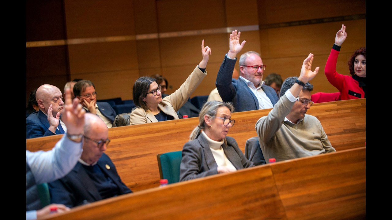 Ple Ordinari de la Diputació de València. 17/02/2026.
