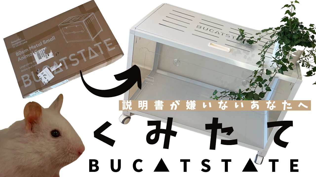 【BUCATSTATE】ハムスター巨大ケージ開封→組み立て　一連の流れ大公開！