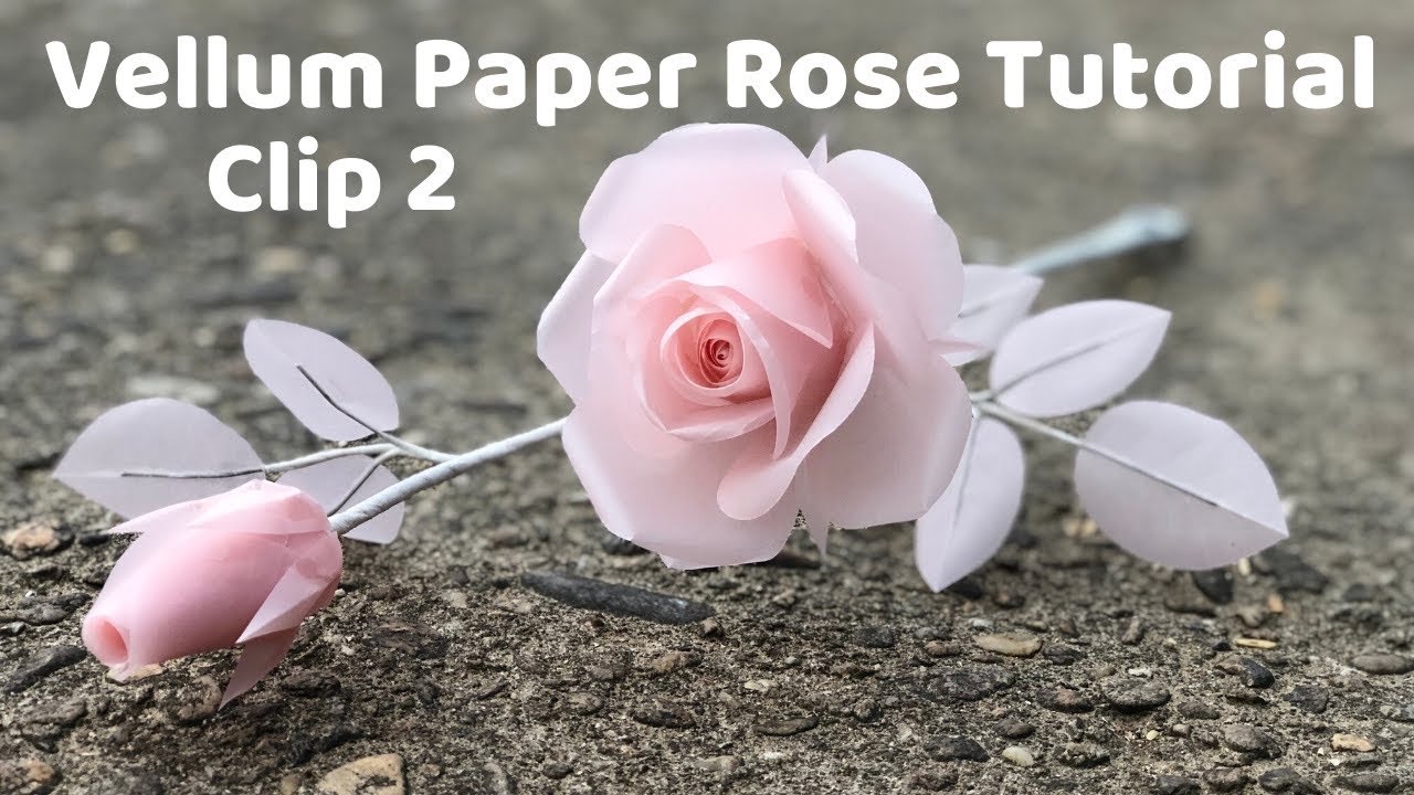Vellum Paper Rose Tutorial CLIP2 | L&Agrave;M HOA HỒNG GIẤY CAN | Rita handmade