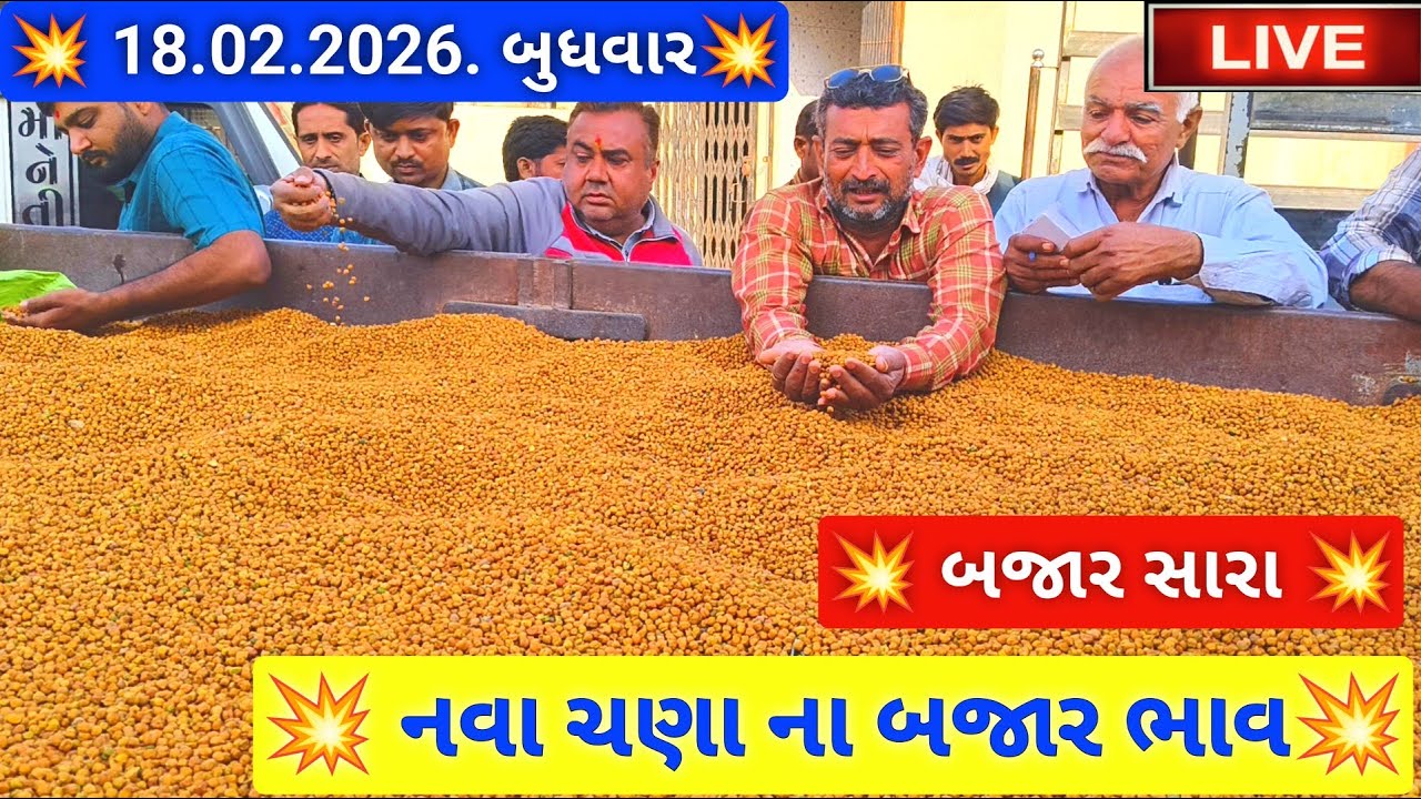 🔴live નવા ચણા ના ભાવ આજના જસદણ માર્કેટિંગ યાર્ડ, jasdan APMC,February 18, 2026