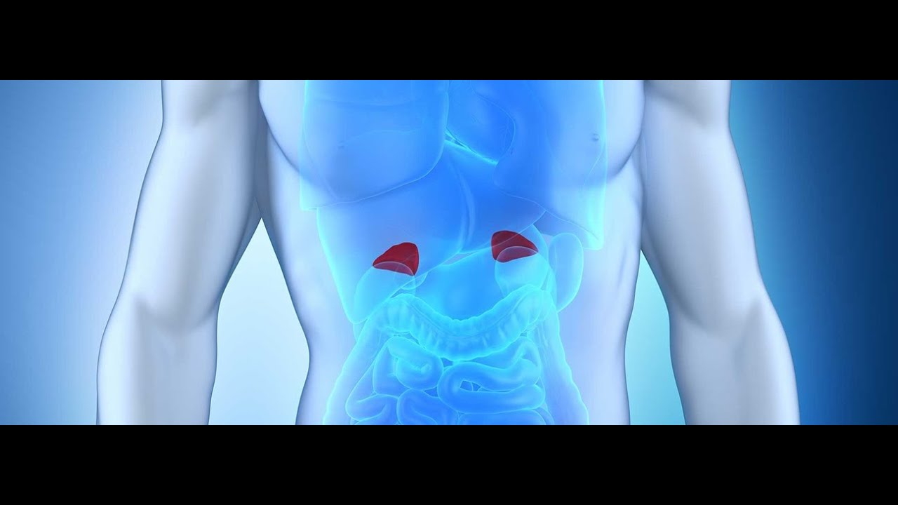 Adrenal Fatigue is a Myth