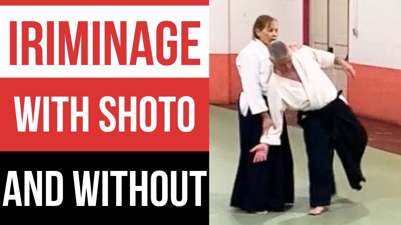 Mastering Iriminage Through Shoto & Empty-Hand Practice | Aikido Summer Camp LA