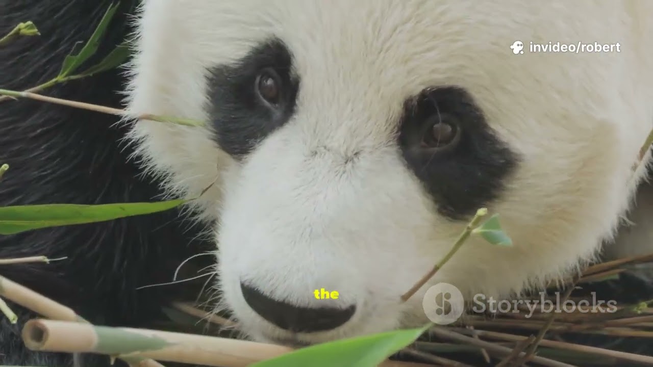 Warning: These Baby Animals Will Steal Your Soul 🐾