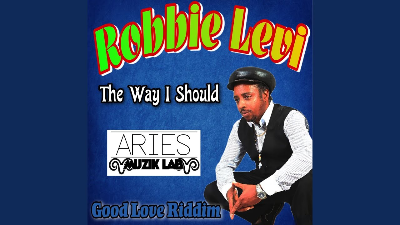 THE WAY I SHOULD..