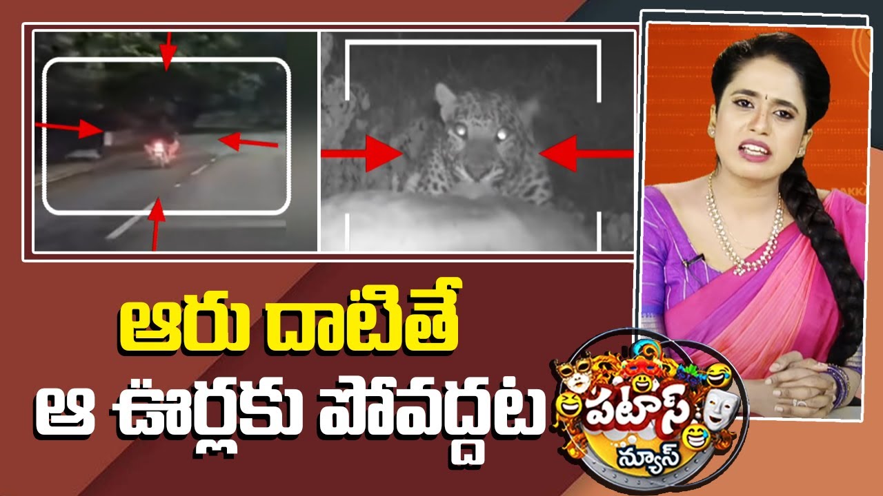 ఆరు దాటితే ఆ ఊర్లకు పోవద్దట.. | Tiger roaming in the village | Patas News | 10tv News
