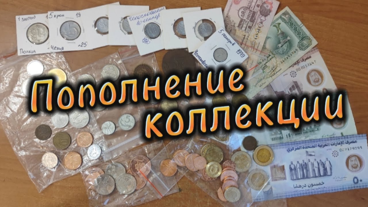 Пополнение коллекции монет и банкнот 