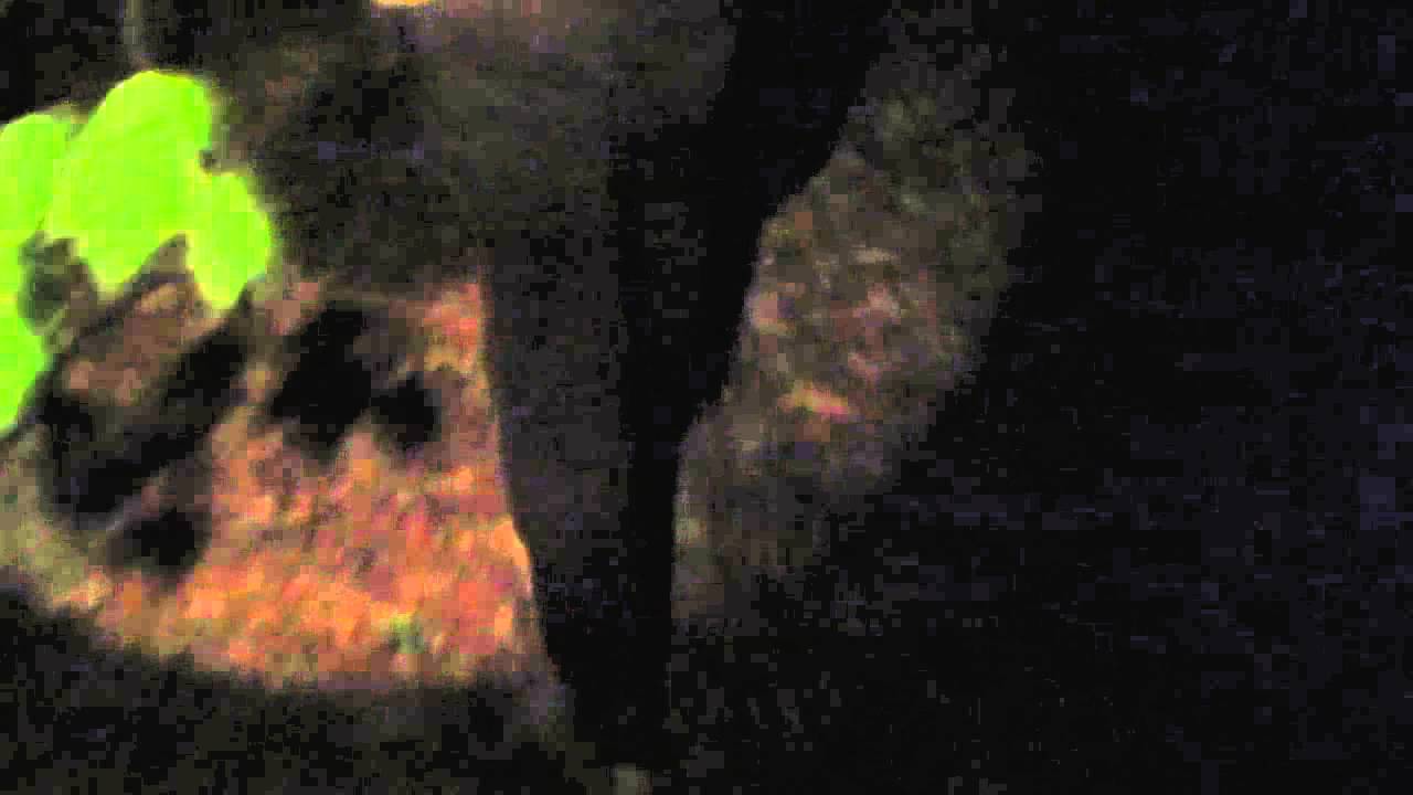 RKM - 006