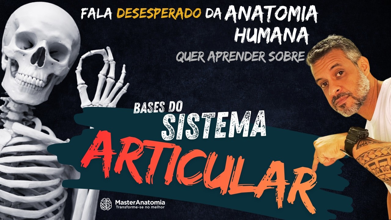 Aula 9   Sistema Articular