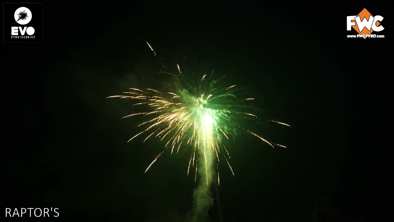 RAPTORS from EVO PYROTECHNICS  @fireworkcrazy  #fireworkcrazy