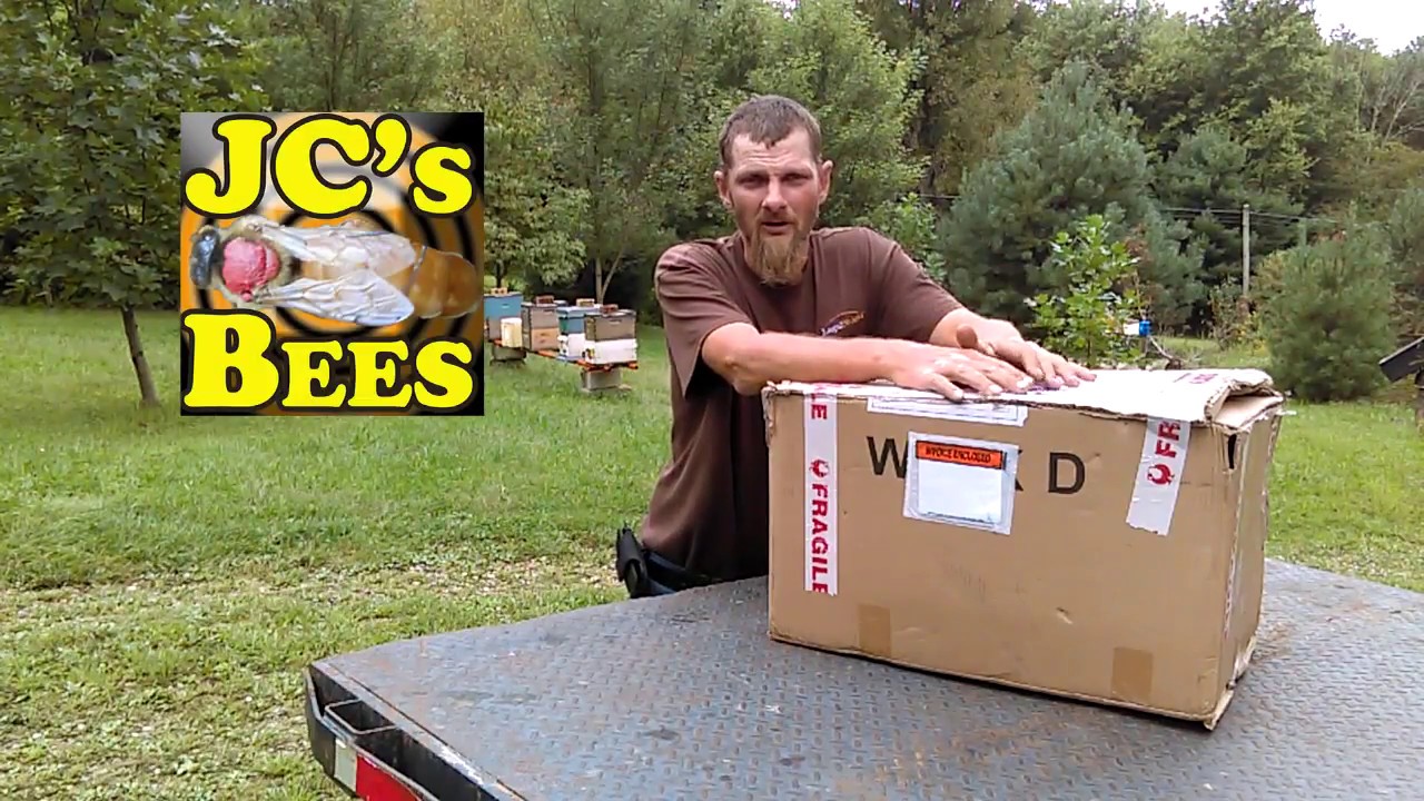 Новые продукты от Ceracell Beekeeping Supplies