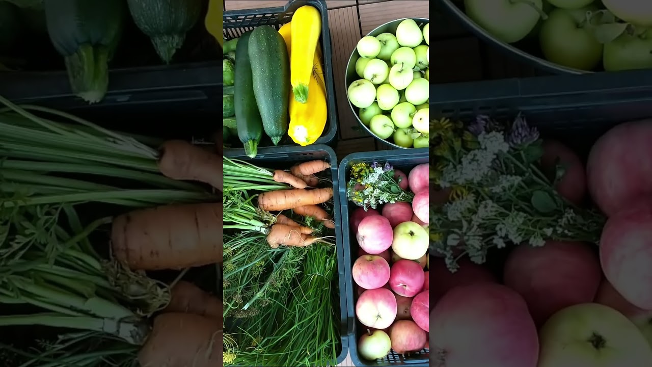 Naturalne źr&oacute;dła fosforu do uprawy warzyw. Mączka kostna mączka rybna fosforan skalny #ogr&oacute;d #uprawa