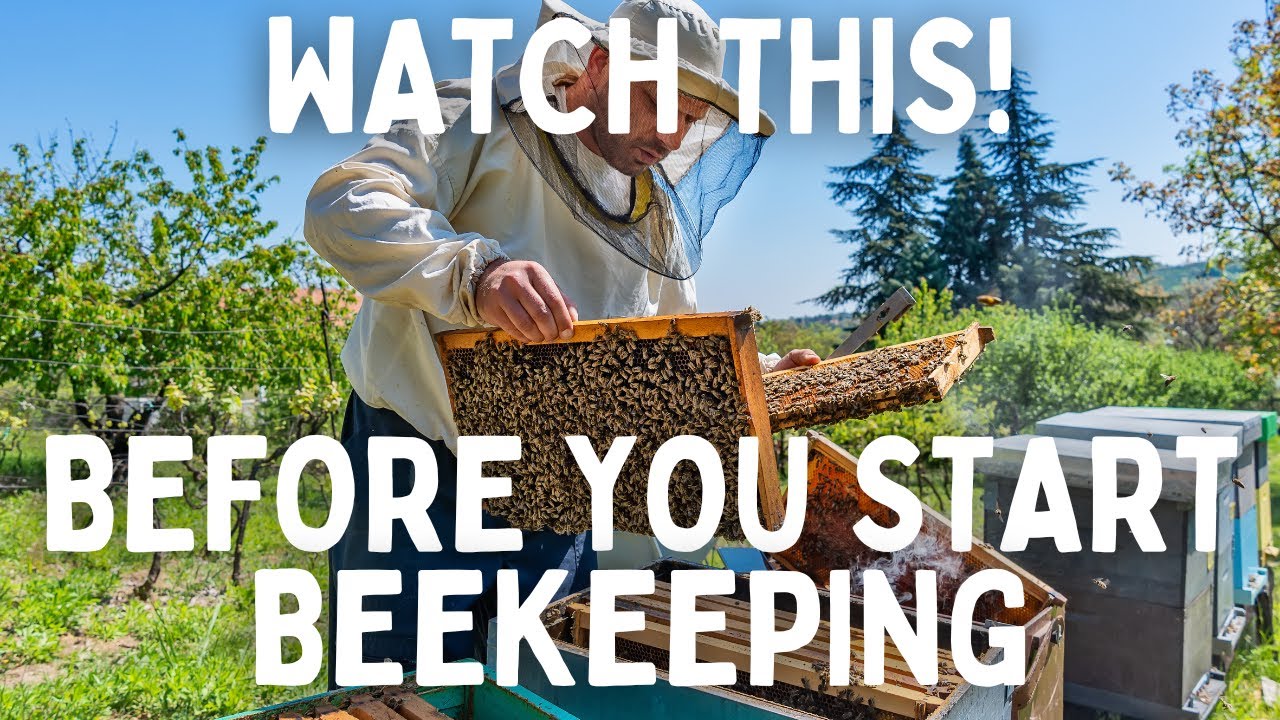 The Critical Facts Every Beekeeper Needs to Know