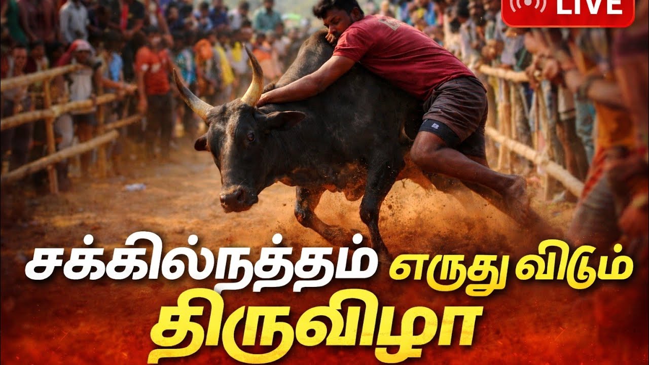 “சக்கில்நத்தம் எருது விடும் திருவிழா” #shortsfeed #verticallivestream
