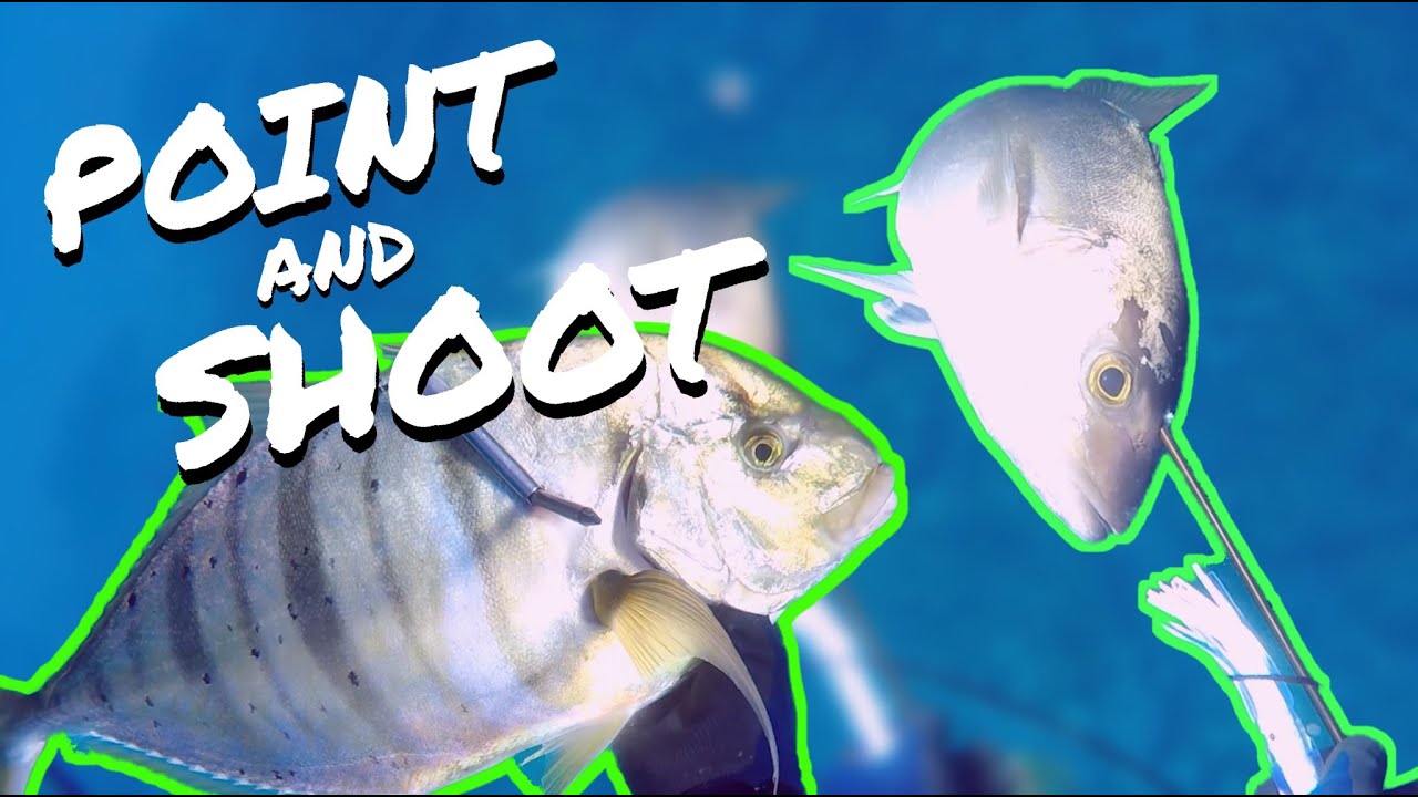 Easiest Day Spearfishing. Point & Shoot First Time Using Hatch Rhino - Hawaii Spearfishing