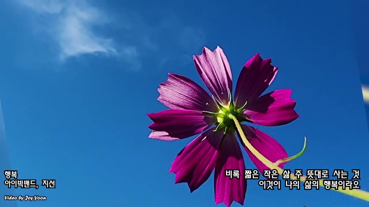 행복 - IBIG BAND, 지선