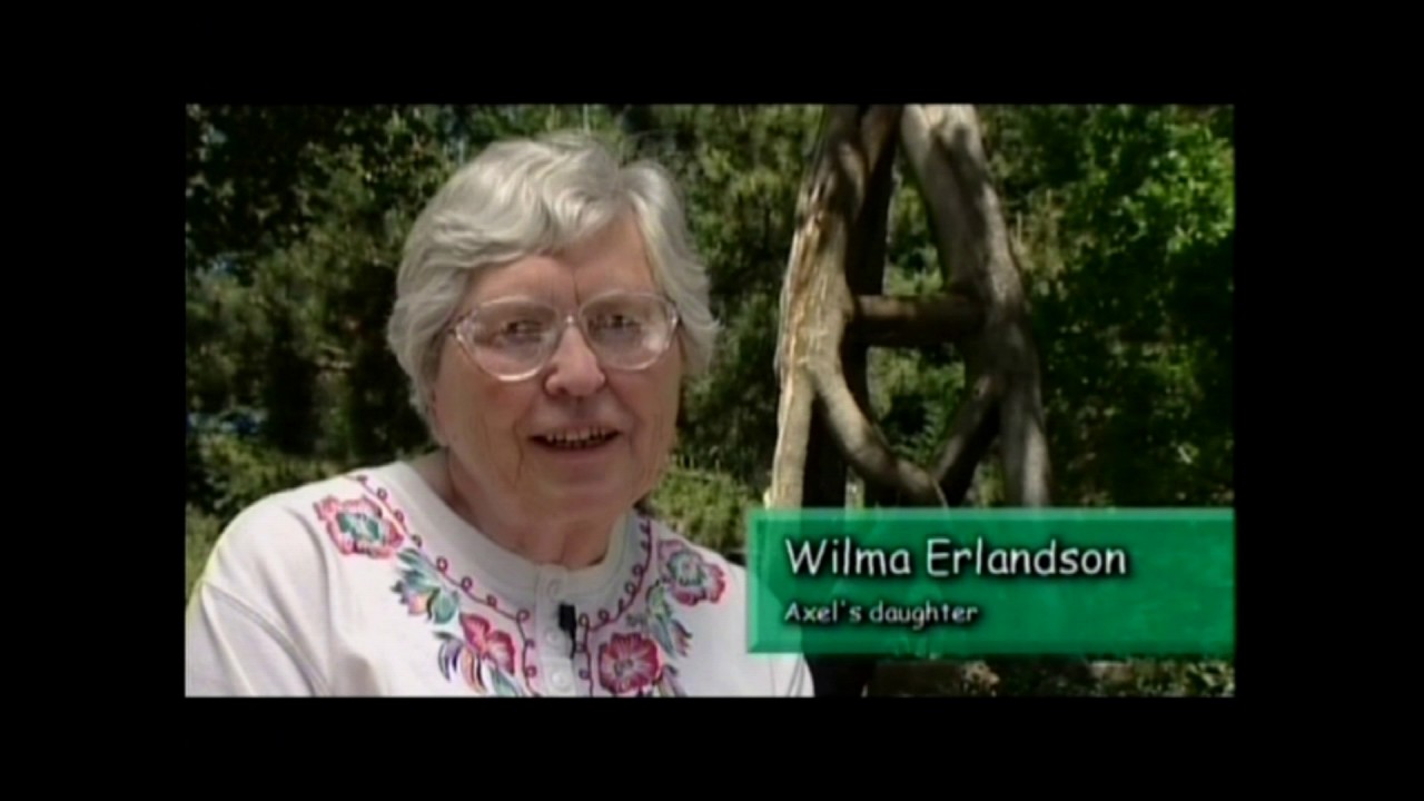 The Man Who Talked to Trees