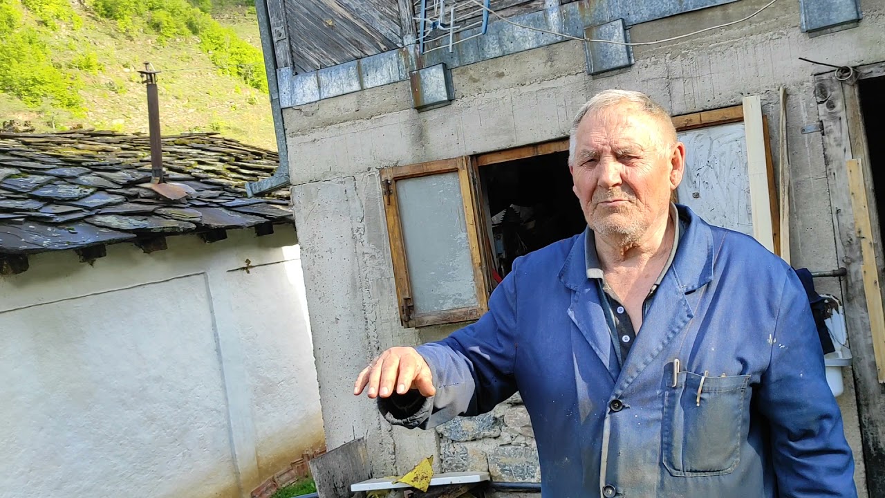 Gostuša