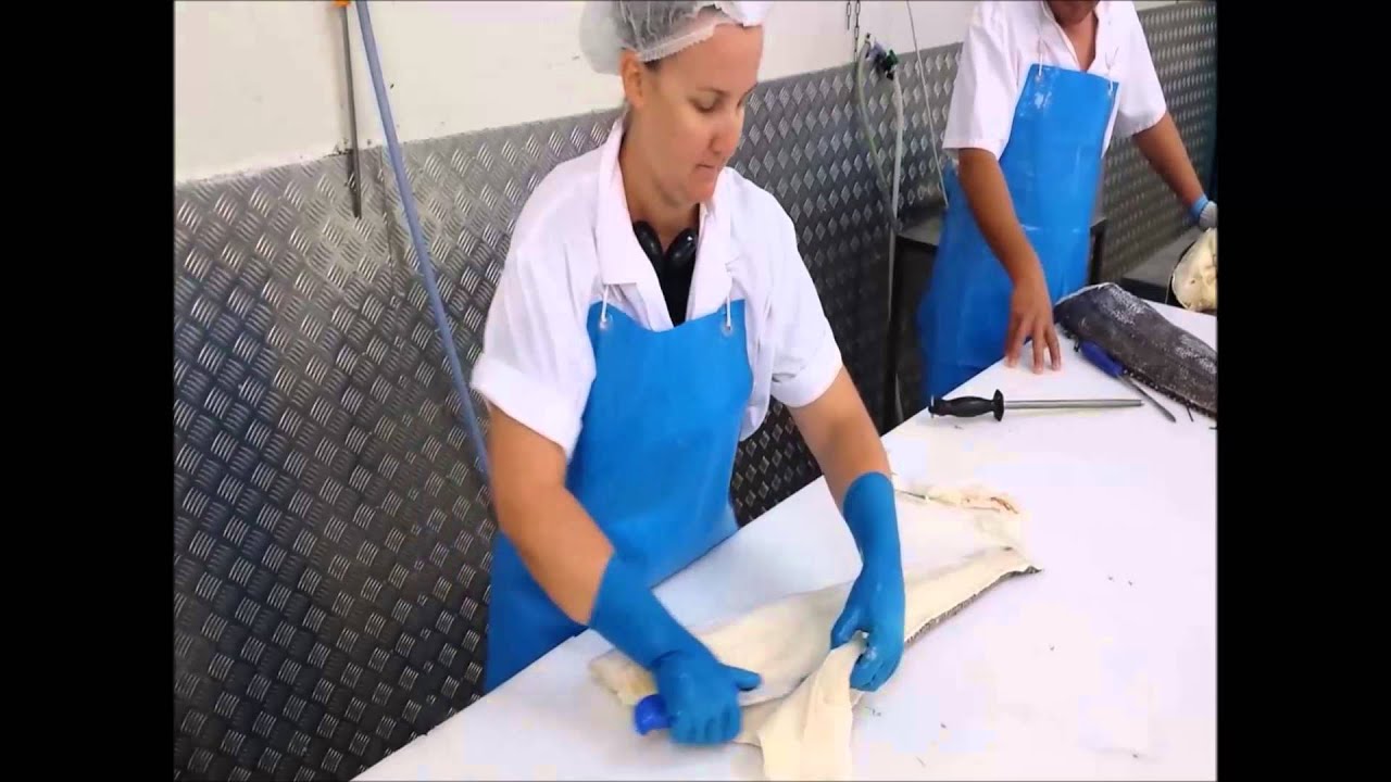 Fishwife- Filleting Toothfish (MSC Certified)