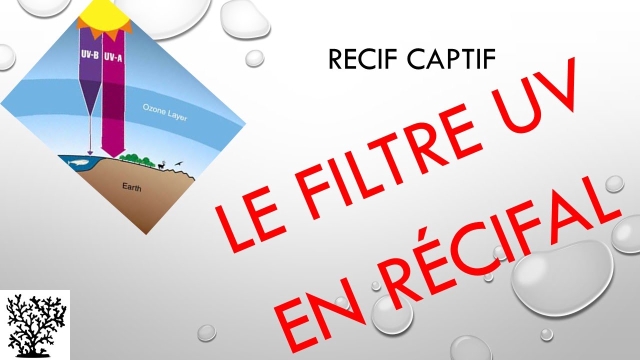 Le filtre UV en récifal - Mr Recif Captif #41