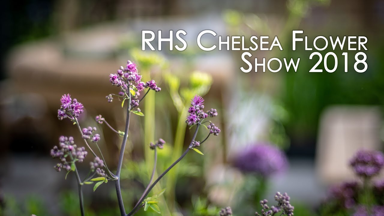 RHS Chelsea Flower Show, 2018