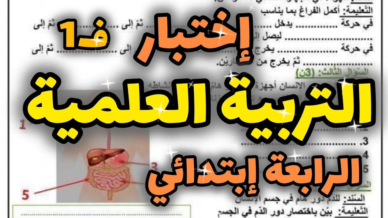 إختبار التربية العلمية السنة الرابعة إبتدائي الفصل الأول 