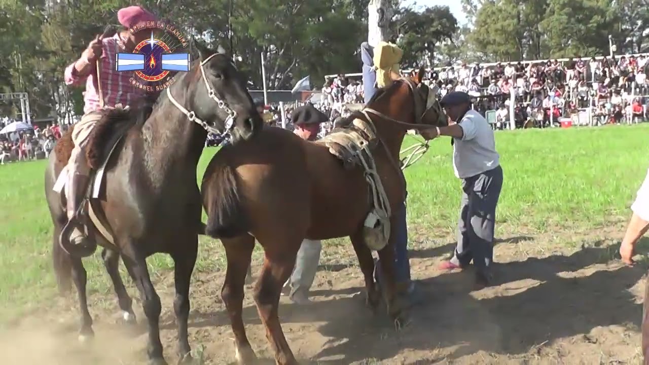 UNA COPLA EN LA LLANURA   MONTA ESPECIAL KATO ZAMACONA