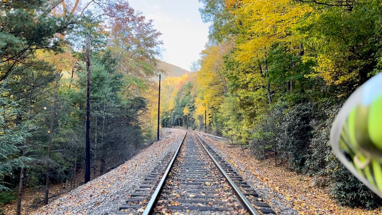 Cowbell in the fall